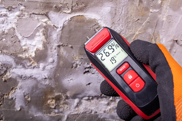 Best Mold Remediation for Schools in Anthem, AZ